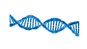 DNAのイメージ画像