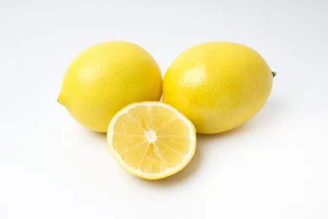 レモン・柑橘系